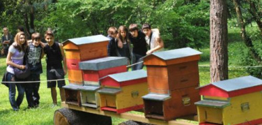 Api in città. In vendita il primo 