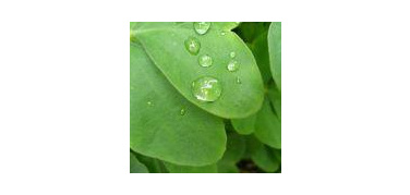 Il ministero dell'Ambiente finanzia progetti di educazione alla sostenibilità per 1.500.000 euro