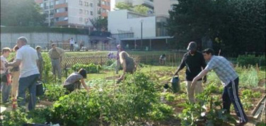 Roma, sempre più numerosi gli orti urbani. Ora servono regole chiare