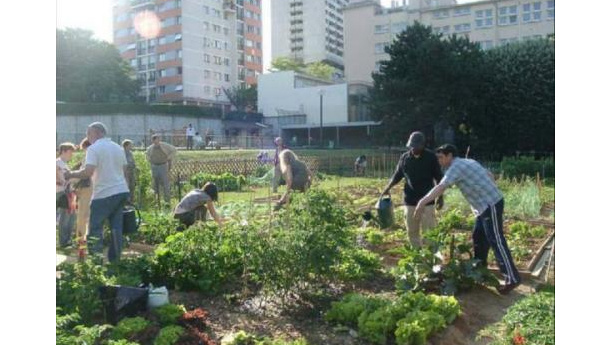 Immagine: Roma, sempre più numerosi gli orti urbani. Ora servono regole chiare