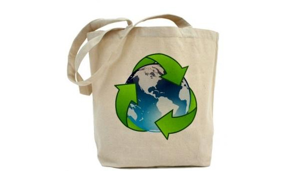 Immagine: Messa al bando dei sacchetti di plastica. Michele Bertolino, Legambiente: 