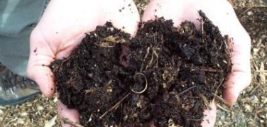 Ridurre i rifiuti in casa. Kit Strange, ACR+: i migliori risultati grazie al compostaggio domestico