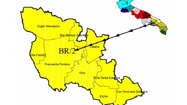Immagine: Provincia di Brindisi: a rischio la raccolta dell’umido nell’ATO BR2