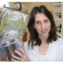 Immagine: Rifiuti, record degli Strauss un sacchetto in un anno