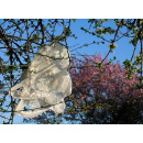 Immagine: Sacchetti, guardando al bando dal punto di vista del riciclo, la parola a COREPLA