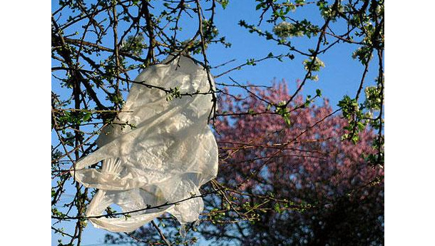 Immagine: Sacchetti, guardando al bando dal punto di vista del riciclo, la parola a COREPLA