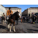 Immagine: 30 gennaio domenica ecologica? Torino verso la decisione