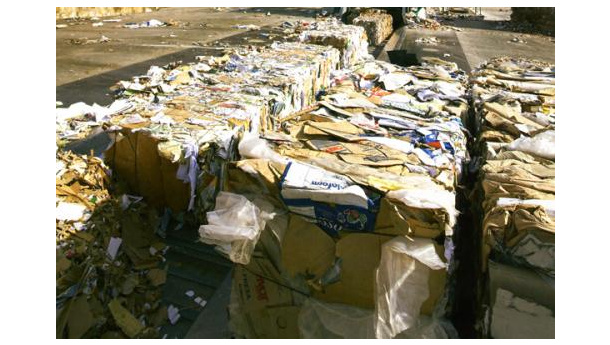 Immagine: Raccolta differenziata carta e cartone: Comieco premia con 15.000 euro i Comuni virtuosi della Campania