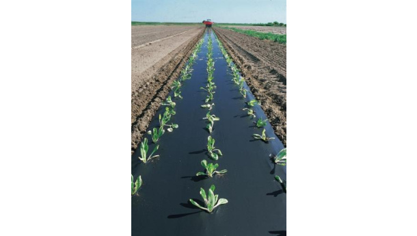 Immagine: CAC plastica, Novamont: “Nessuna polemica, ma è giusto capire come verrà usato il contributo”