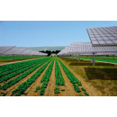 Immagine: Decreto Romani sulle rinnovabili, il testo