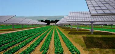 Decreto Romani sulle rinnovabili, il testo