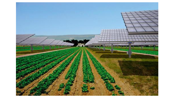 Immagine: Decreto Romani sulle rinnovabili, il testo