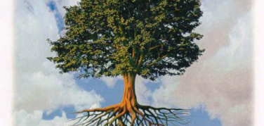 Regala un albero alla tua città, in corso la messa a dimora degli alberi donbati dai cittadini