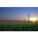 Immagine: Rinnovabili, il Governo stringe i tempi: entro due o tre settimane pronti i nuovi incentivi