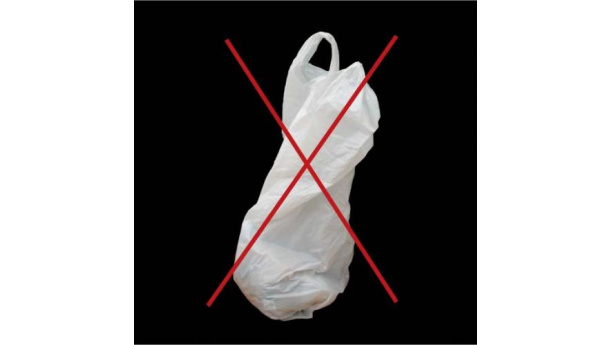 Immagine: Sacchetti: nessuna obiezione per l'Italia, l'UE pronta a sostenere il bando