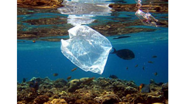 Immagine: Isole no plastic, una sfida per l'Elba