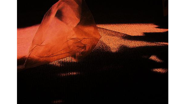 Immagine: La storia infinita dei sacchetti. Polieco: “Soddisfazione per il secondo incontro con il ministero, ma la discussione è ancora in corso ”