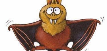 E’ l’Ora della Terra anche in Piemonte: si spegne Superga, festeggiano i pipistrelli