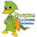 Immagine: 1° Ecoday del Salento: mille volontari fanno le pulizie di Primavera in 43 aree