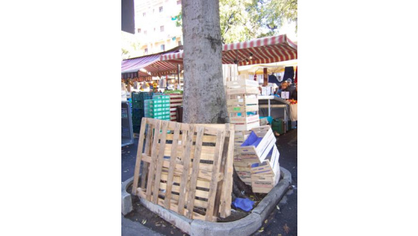 Immagine: Banco a banco: la raccolta differenziata arriva al mercato