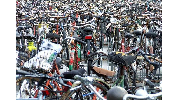 Immagine: Domenica 10 aprile Emilia Romagna invasa da uno 