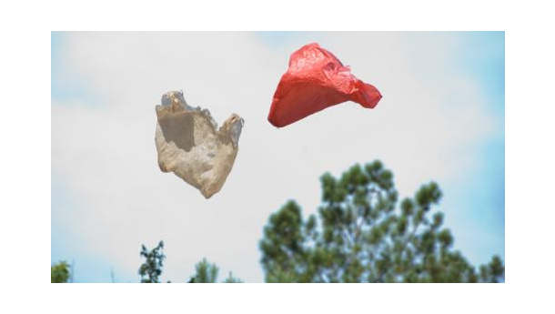 Immagine: Sacchetti: ma il mercato si è autoregolato o no?