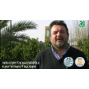 Immagine: Rifiuti, Legambiente: «Crisi prevedibile sotto elezioni»