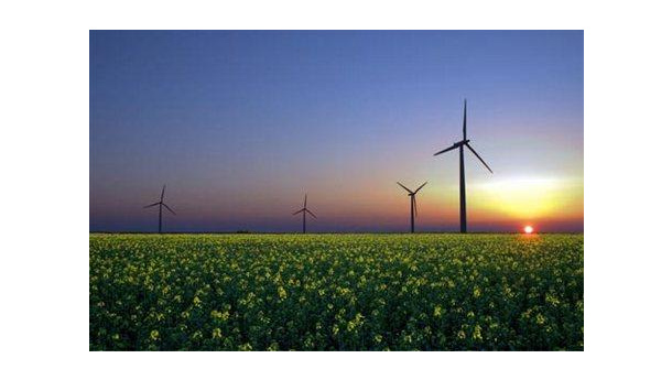 Immagine: Incentivi alle rinnovabili, il Gse pubblica il bollettino 2010