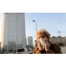 Immagine: A Milano la crescita dello smog nei primi 4 mesi del 2011