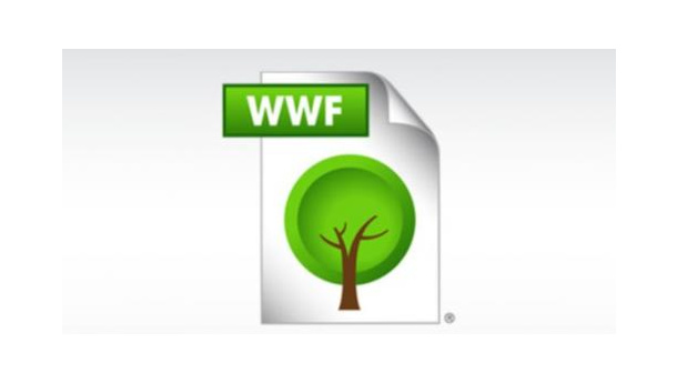 Immagine: Salva la carta, con il formato