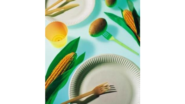 Immagine: Ecofeste a scuola: piatti e bicchieri compostabili per i bambini di Forlì