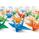 Immagine: Dal 31 maggio al 5 giugno la XIV edizione di CinemAmbiente