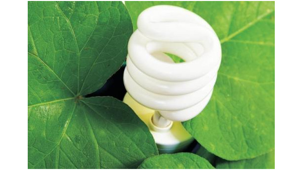 Immagine: Rapporto Ecolamp: il 60% degli italiani conosce le isole ecologiche e il 90% è propenso a differenziare le lampade a basso consumo esauste