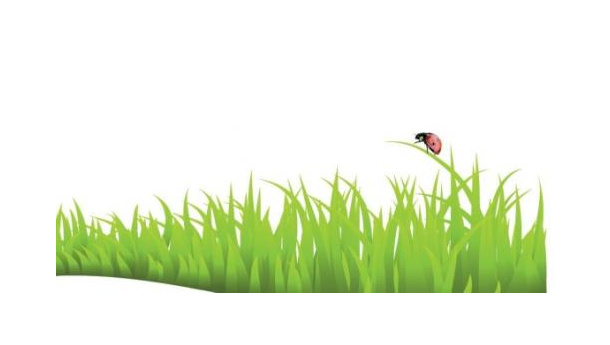 Immagine: Responsabilità estesa del produttore: tra riduzione e qualità del materiale raccolto