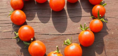 Genova: 30 ecofeste in arrivo in tutta la provincia