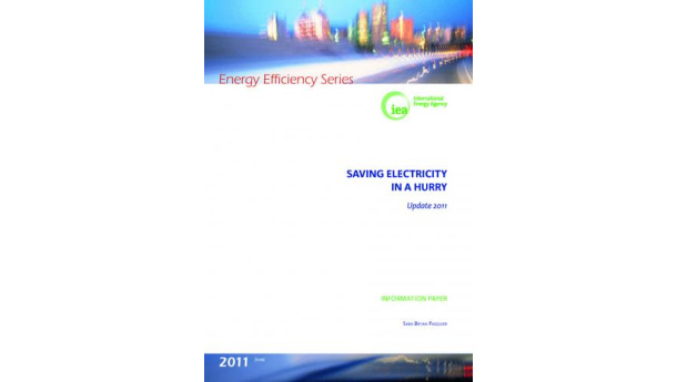 Immagine: Dall'Aie i consigli agli Stati per risparmiare energia
