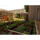 Immagine: Un orto medievale nel centro di Torino: riapre il giardino di Palazzo Madama