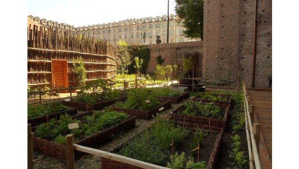 Immagine: Un orto medievale nel centro di Torino: riapre il giardino di Palazzo Madama