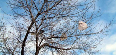 Sacchetti di plastica. La Ue bacchetta l'Italia