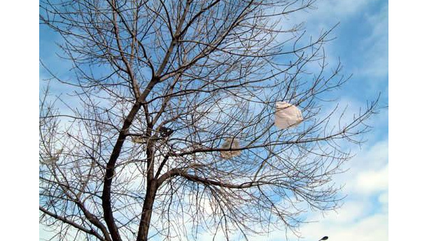 Immagine: Sacchetti di plastica. La Ue bacchetta l'Italia