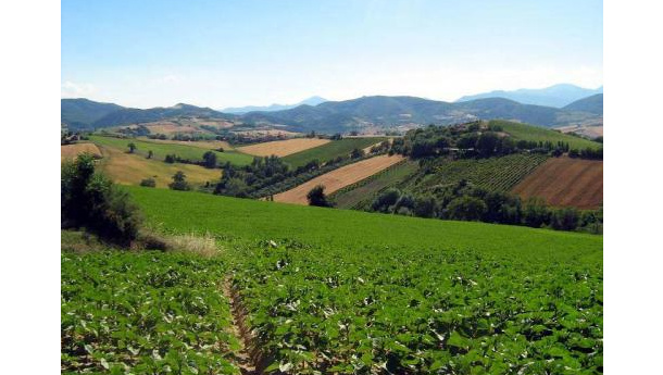 Immagine: Movimento Stop al Consumo di Territorio: lettera di protesta a IKEA