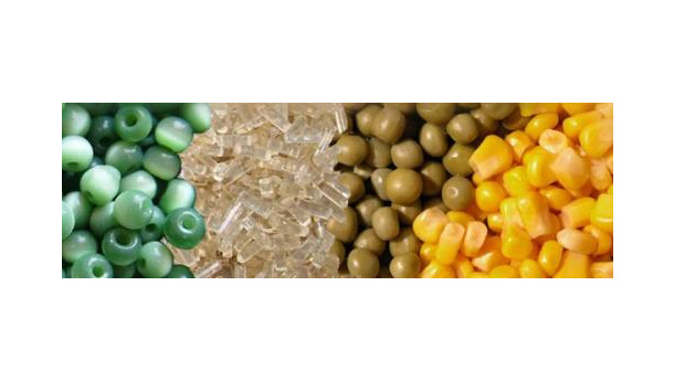 Immagine: Bioplastics Conference: Torino si prepara