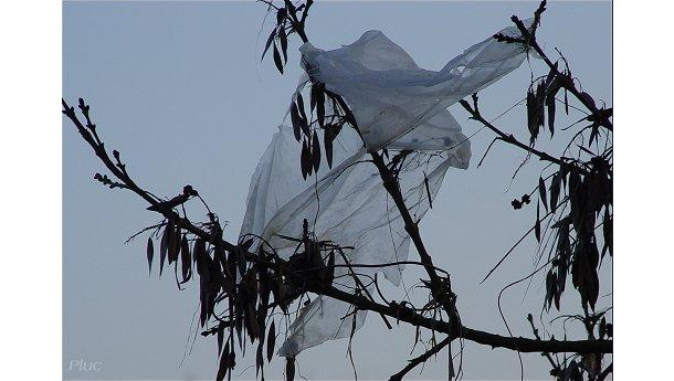 Immagine: Ddl sacchetti, Governo Informa parla di spessore 400 micron e multe da 25.000 euro