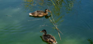La Darsena ad agosto: un’oasi sempre a rischio. Ma basterebbe così poco…