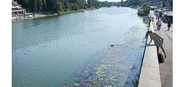 Il Po spazzatura: puzza e rifiuti nel centro città