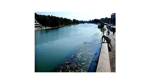 Immagine: Sporcizia nel Po: generazione spontanea di pattume o maleducati a spasso?