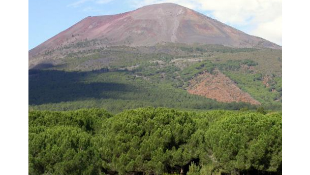 Immagine: CleaNap per Let’s do it world 2012 – Da Napoli al resto del Mondo