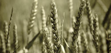 Assobioplastiche: “Preoccuparsi dello smaltimento, o facciamo solo eco-marketing”