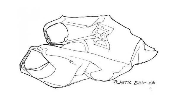 Immagine: Ddl sacchetti: parere contrario dalle Regioni, ma il Ministero non cambia posizione