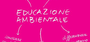 Ministero, pubblicata la graduatoria per il cofinanziamento dei progetti ambientali